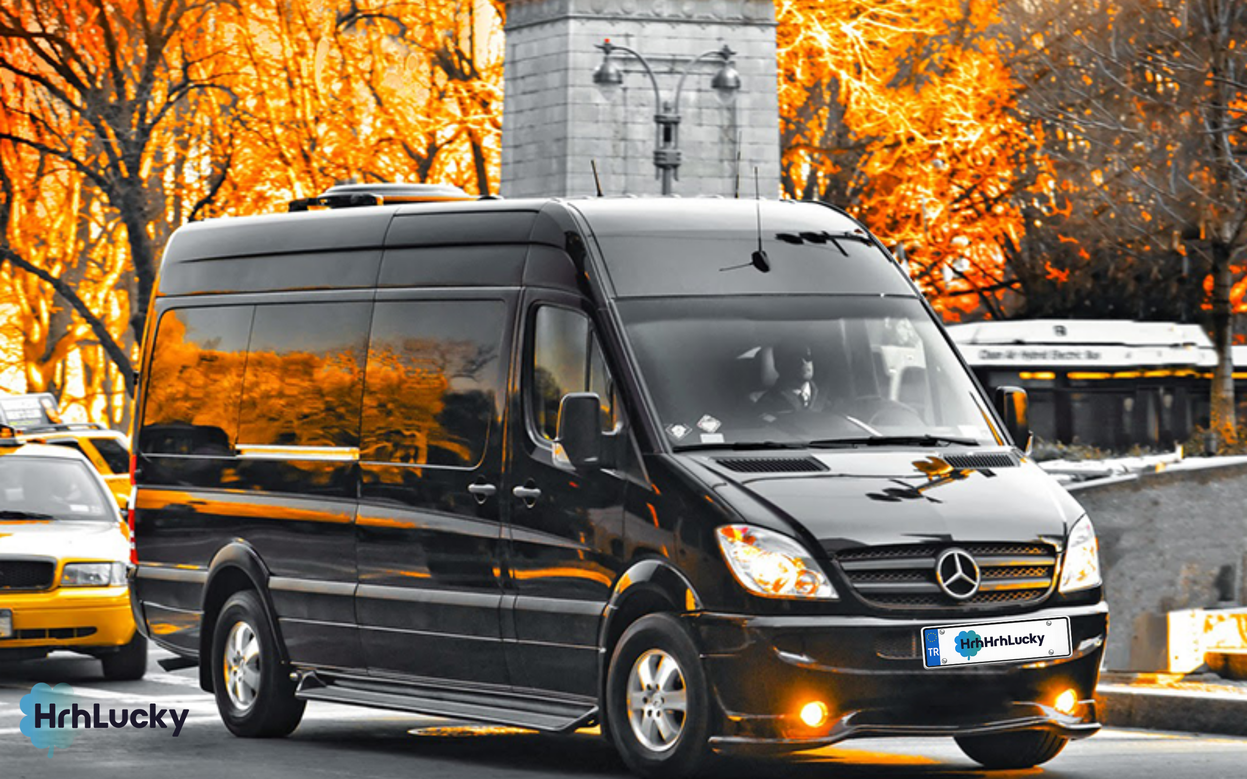 Şöförlü Araç Kiralama